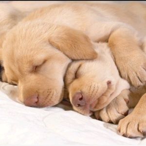 Meet your Posher, Ashleigh